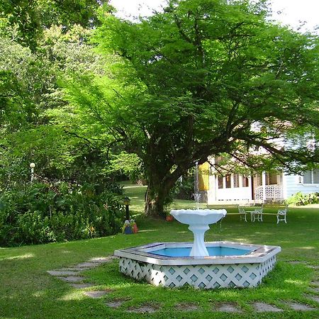 Park Eden Bed & Breakfast Los Llanitos Buitenkant foto