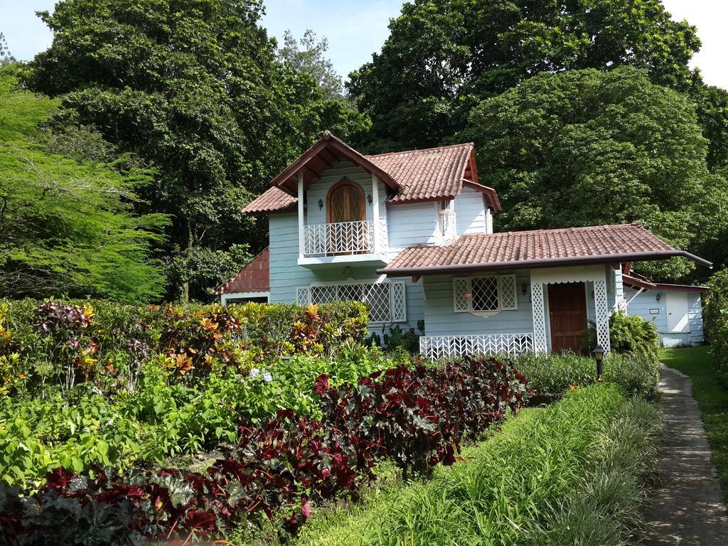Park Eden Bed & Breakfast Los Llanitos Kamer foto