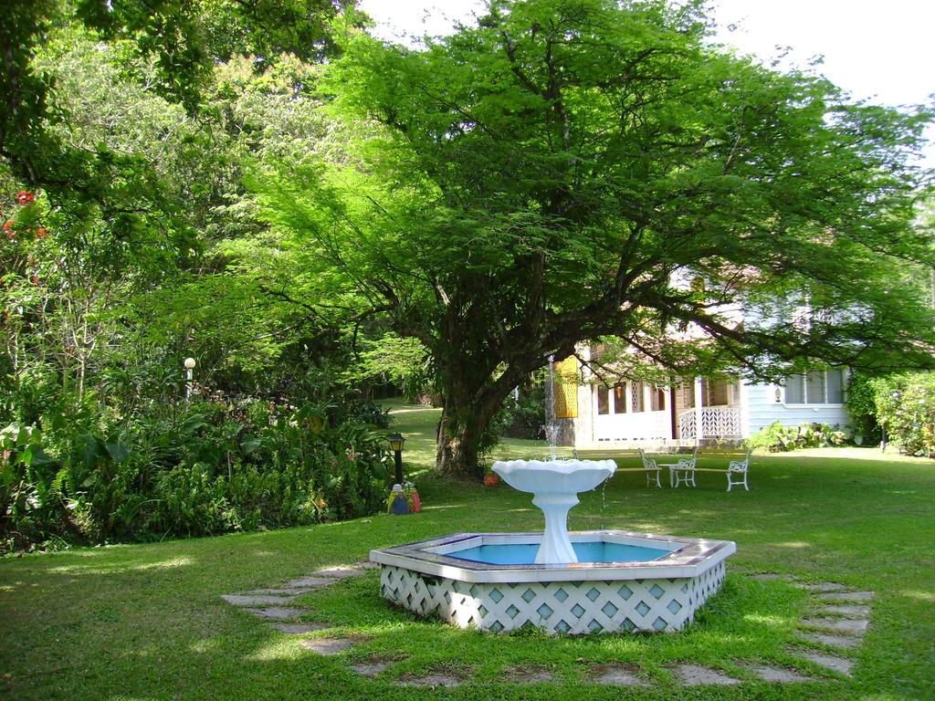 Park Eden Bed & Breakfast Los Llanitos Buitenkant foto